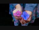 Find someday