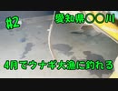 【#2 釣り動画】4月なのにウナギ大漁！愛知県○○川で数時間でウナギが大漁に釣れます！