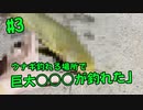 【#3 釣り動画】ウナギ大漁に釣れる場所で巨大○○○が釣れてしまいました！