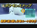 ポケモンスナップ　雪原（昼）隠し分岐ルート行き方は？　【New ポケモンスナップ】