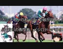 【競馬】ゆっくりさんと未来に語り継ぎたい名馬たち その018【ゆっくり朗読】