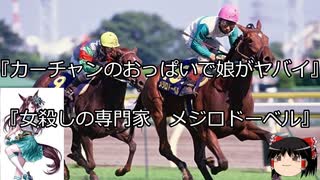 【競馬】ゆっくりさんと未来に語り継ぎたい名馬たち その018【ゆっくり朗読】