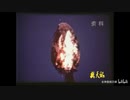 中国のロケットの大爆発 21톤 짜리 중국 로켓 조만간 지구에 추락...이번 주말부터 '위험'