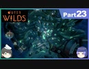 【ゆっくり実況】ムラいちがOuter Wilds Part23