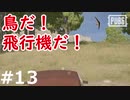 おとあにが楽しむPUBG ＃１３
