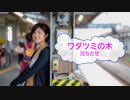 [オフボSPC]　ワダツミの木　/　元ちとせ　(offvocal　歌詞：あり /　ガイドメロディーなし)