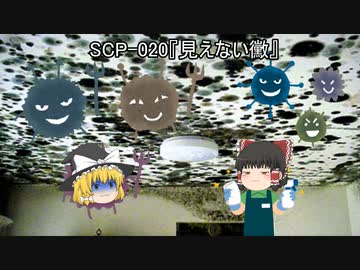 SCPを自分なりに解釈して説明してみる020【見えない黴】