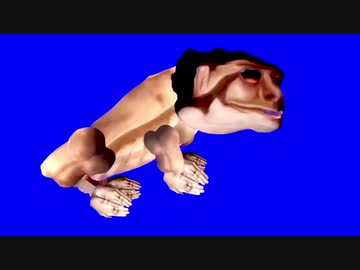 ヒキガエル先輩BB＋使用例