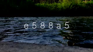 e588a5 (Instrumental)