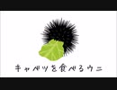 キャベツを食べるウニの歌 歌ってみた