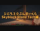 【Minecraft /#ぷんくら2】発酵槽を作ったのでいよいよアイテムが充実し始めます…！【すかいぶろっく編 10日目】