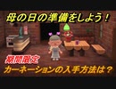 あつまれどうぶつの森　カーネーションの入手方法は？母の日の準備をしよう！！　【あつ森】