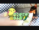 【ミニピン】はじめてのもふ鳥
