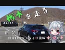 【CeVIO車載】栃木を走る#2　日光日帰りドライブ後編