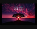 命想/げん(BANYAN)feat.VY1