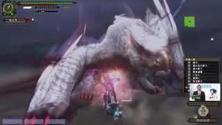 【MHF-Z】もこう VS 極み駆けるナルガクルガ 太刀 7ラスタ