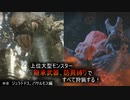 【モンハンライズ】継承武器、防具縛りで上位大型モンスター全部狩る！！　＃8