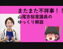 【ゆっくり解説】やらかした山尾志桜里についてのゆっくり解説