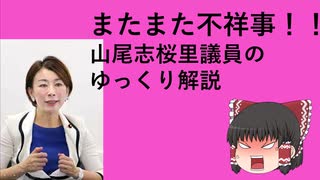 【ゆっくり解説】やらかした山尾志桜里についてのゆっくり解説