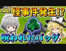 【フォートナイト】罰当たりなれいむさんは呪われてしまったようです（バックアクセサリーが突然変わるんですが・・・）　その572【ゆっくり実況】【Fortnite】