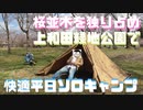 桜並木を独り占め。上和田緑地公園で、快適平日ソロキャンプ。