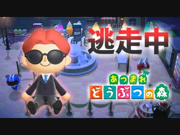【あつ森】逃走中を森でやってみた 迷路メーデー編 inチョコミン島【実況】あつまれどうぶつの森