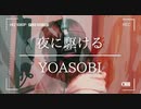 【 am2:00cat 】夜に駆ける 歌ってみた