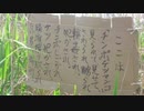 ここは(cover)
