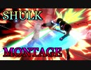 【スマブラSP】シュルク オンライン Montage 2