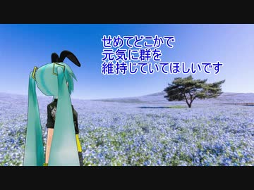 【素人養蜂　Part64】シーズン終了です