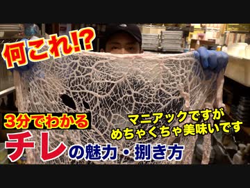 【レバー好き必見】どハマり注意!!チレの魅力と捌き方
