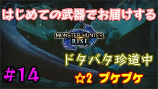 【MHRise】#14 はじめての武器でお届けするドタバタ珍道中 【☆2 プケプケ】