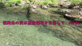 福岡県の淡水魚全採取を目指してPart4