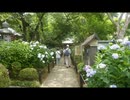 1906宿河原の二ケ領用水から長尾の里道へ