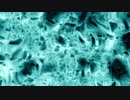 abstract-cellular-microscope-view-loop　林一記