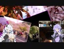 【VOICEROID車載】Versysで雑多なツーリング.Part28「紅葉と桜」