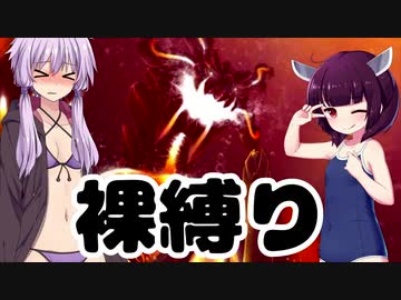【MH3G】裸（水着）で黒龍に挑む【VOICEROID実況】