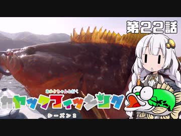 【VOICEROIDフィッシング】あかりちゃんと行くカヤックフィッシング第22話