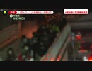 ホモと見るコロナ禍の野外音楽フェス2
