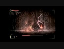 【実況】へっぽこアベル無謀にもあの呪われた島へ（Salt and Sanctuary）おまけ1袋目