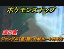 ポケモンスナップ　ジャングル（昼）滝の裏分岐ルートの行き方　【New ポケモンスナップ】