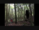 樹海の魔物～なんかいる
