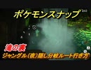 ポケモンスナップ　ジャングル（夜）滝の裏分岐ルートの行き方　【New ポケモンスナップ】