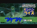 【MHRise】里クエスト★4-1　ドクターの孤独な毒研究（プケプケ１頭の狩猟）