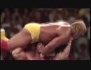 Ultimate Warrior - Desire
