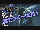 【双剣第一】モンスターハンターRISE#30（里クエ★６ゴシャハギ）