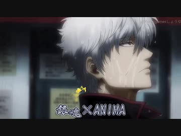 人気の 銀魂 Op差し替え 動画 39本 ニコニコ動画