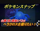 ポケモンスナップ　ヘラクロスを撮りたい！公園（夜）調査レベル２　【New ポケモンスナップ】