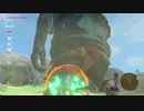 続編出るまでにBotWクリアしときたいマン　part36