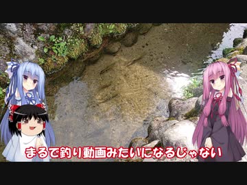 琴葉姉妹と行く釣行記録（車載編part16 3/5）